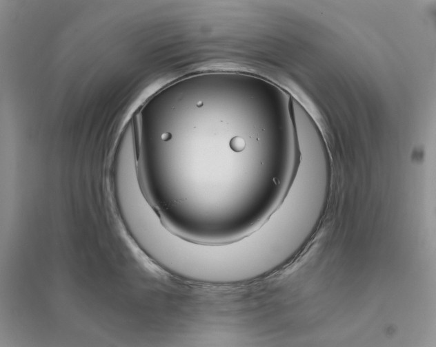 X0000094080909200711091212