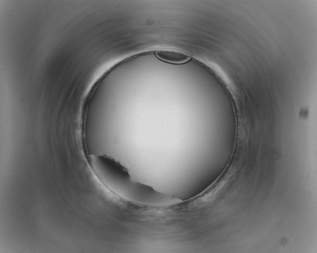 X0000094080910200711091212