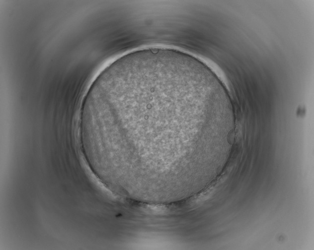 X0000094080911200711091212