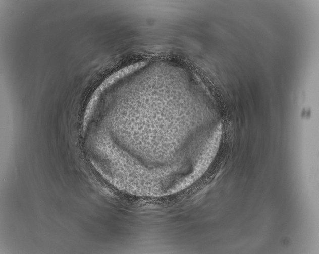 X0000094080913200711091211