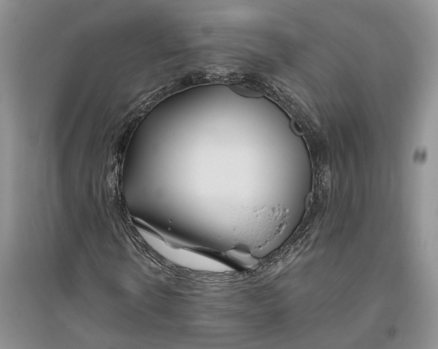 X0000094080914200711091211