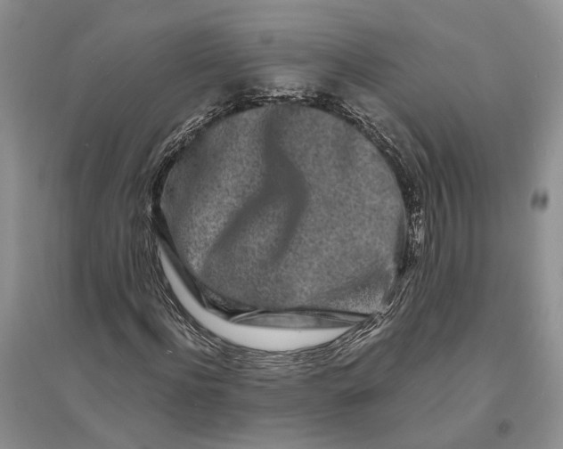 X0000094080916200711091211