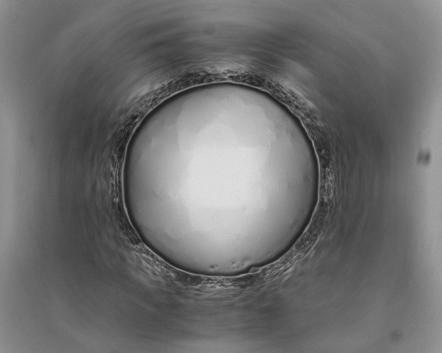 X0000094080917200711091211