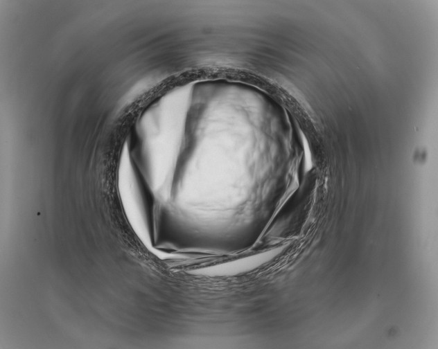 X0000094080919200711091211