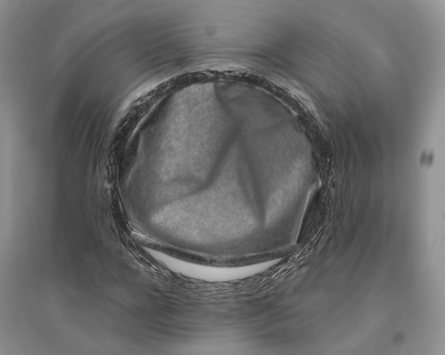 X0000094080920200711091211