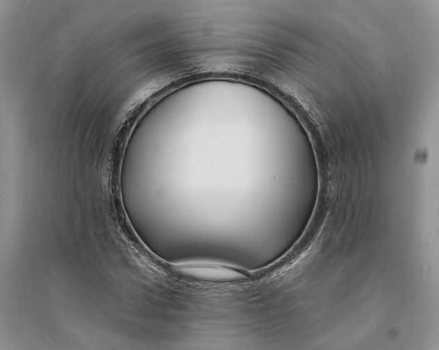 X0000094080922200711091211