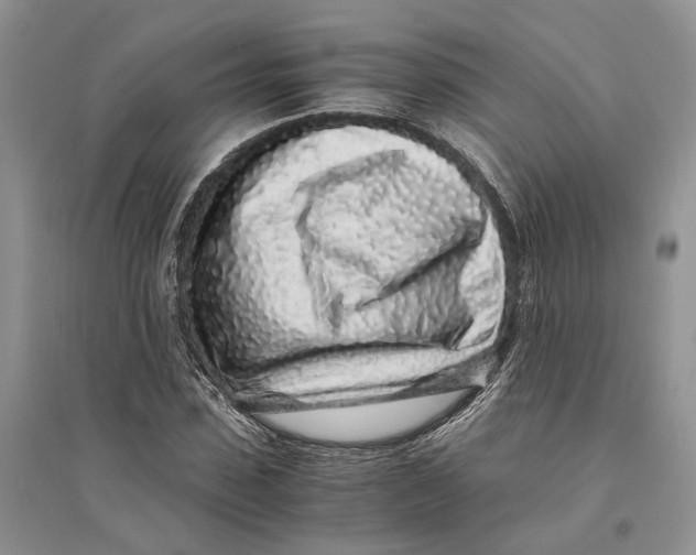 X0000094080923200711091211