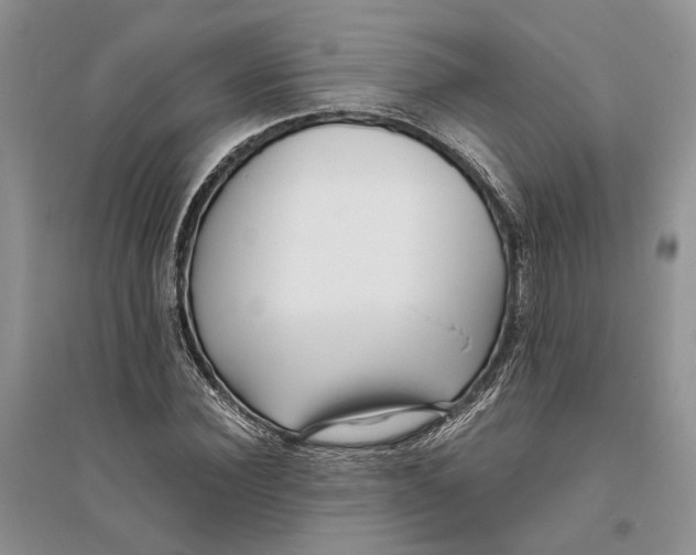 X0000094080924200711091211