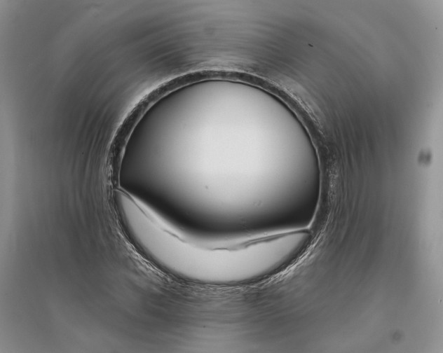 X0000094080926200711091211