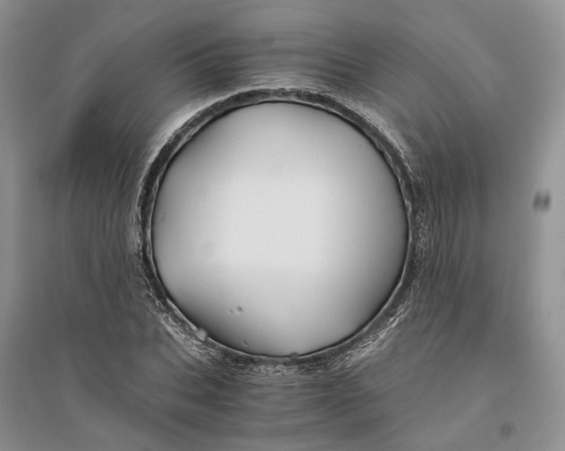 X0000094080927200711091211