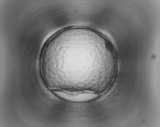X0000094080928200711091211