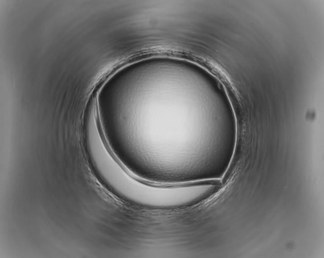 X0000094080930200711091211