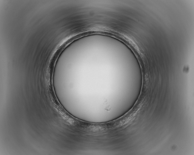 X0000094080931200711091211