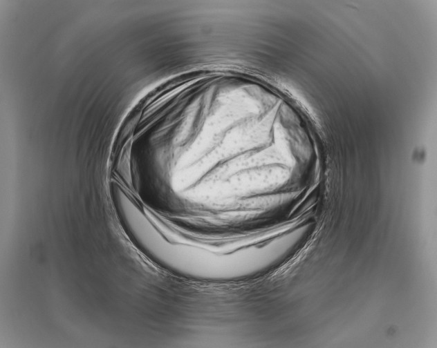 X0000094080932200711091211