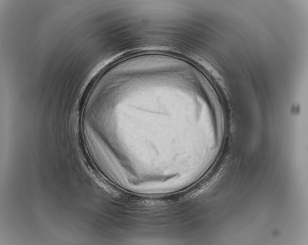 X0000094080933200711091211