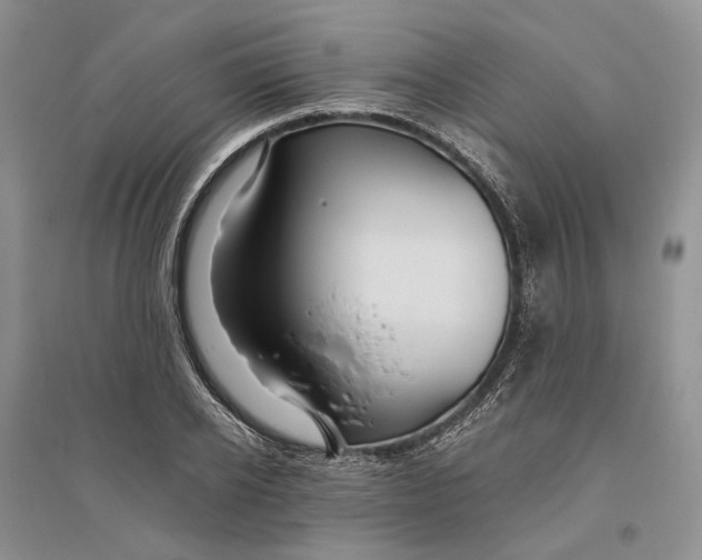 X0000094080934200711091212