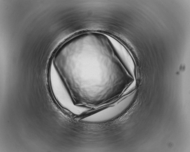 X0000094080935200711091212