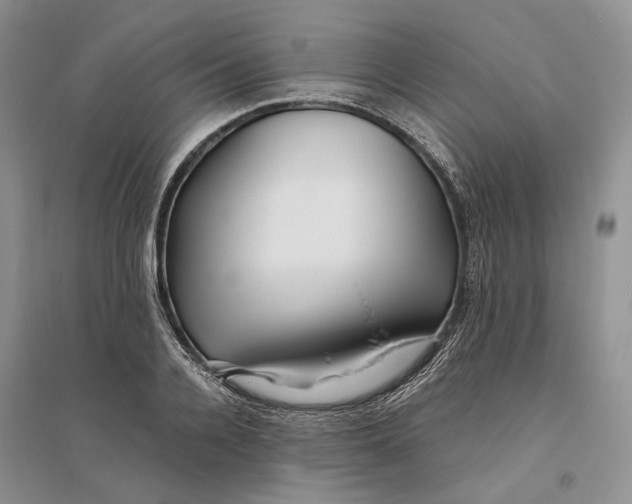 X0000094080936200711091212
