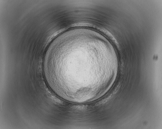 X0000094080937200711091212