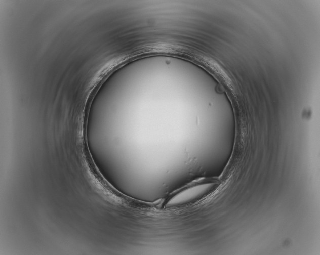 X0000094080938200711091212