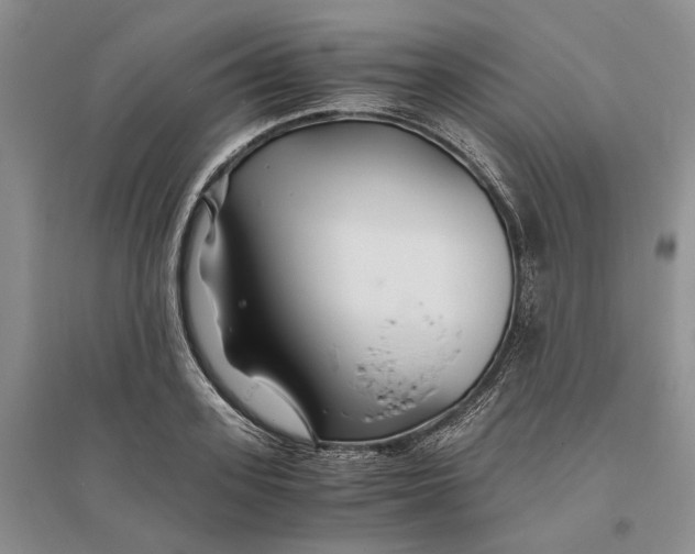 X0000094080939200711091212