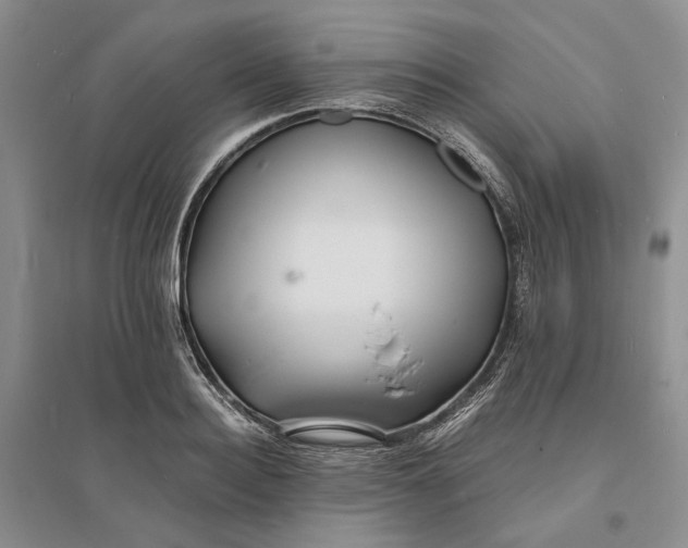 X0000094080940200711091212