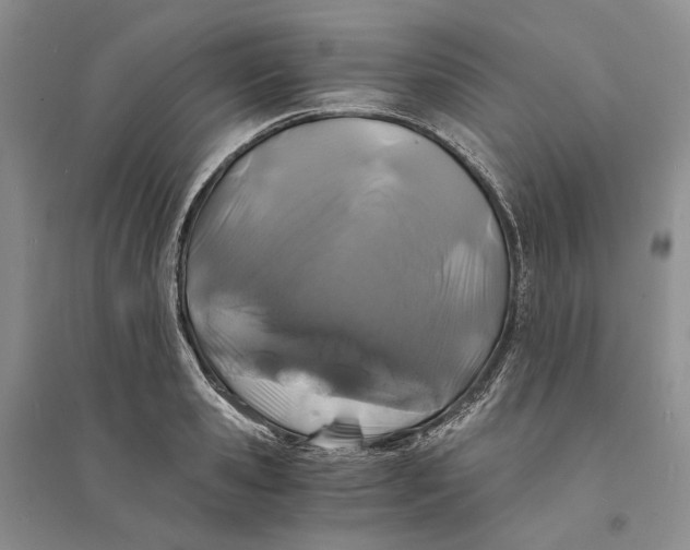 X0000094080941200711091212