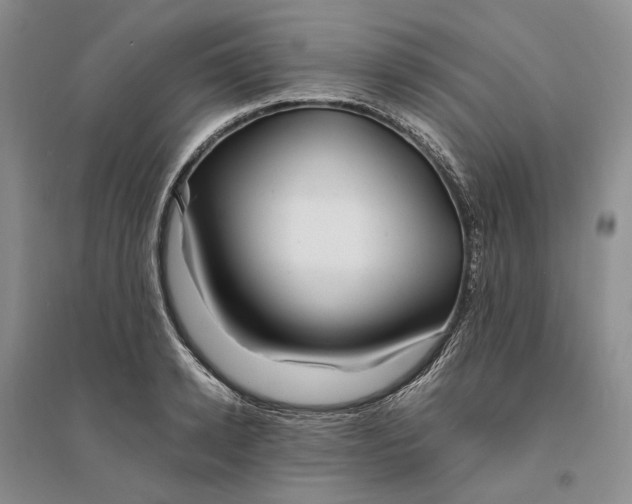 X0000094080942200711091212