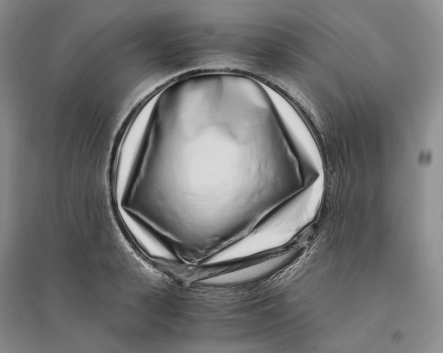 X0000094080943200711091212