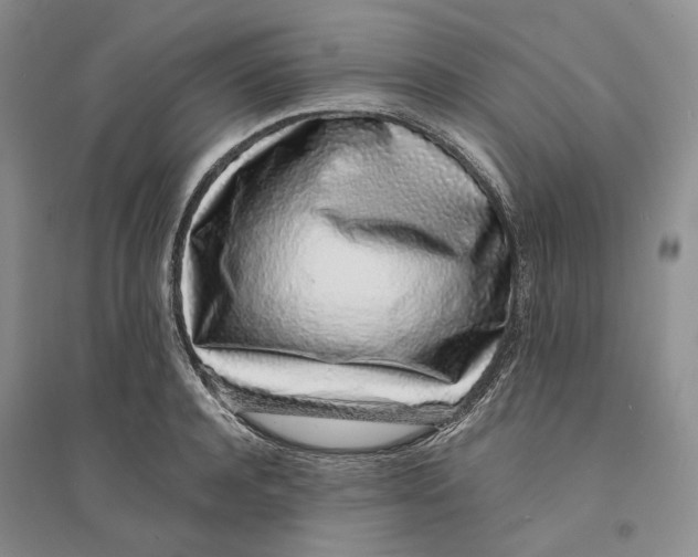 X0000094080944200711091212
