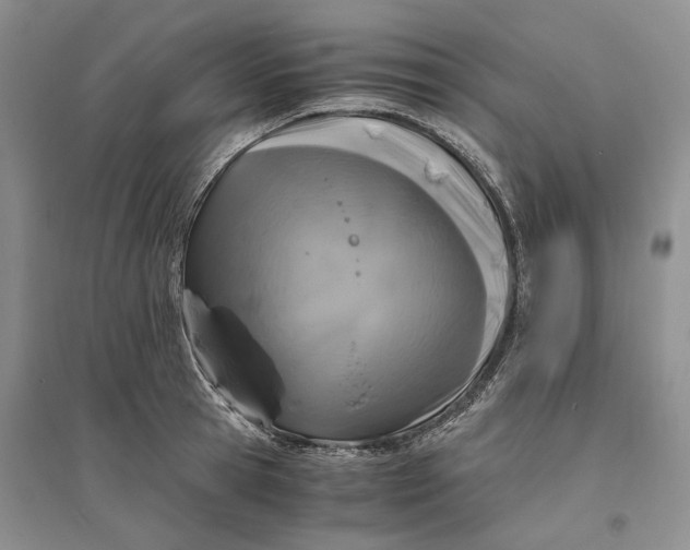 X0000094080945200711091212