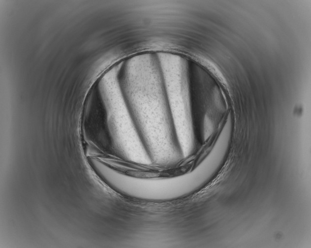 X0000094080946200711091212