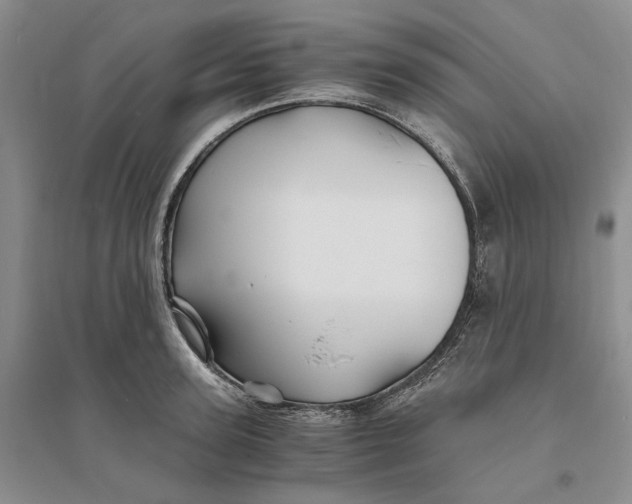 X0000094080947200711091212