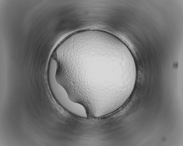 X0000094080948200711091212