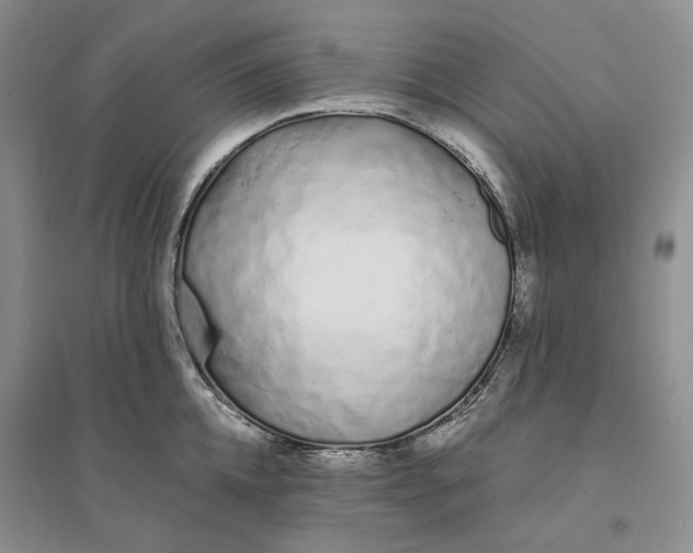 X0000094080952200711091212