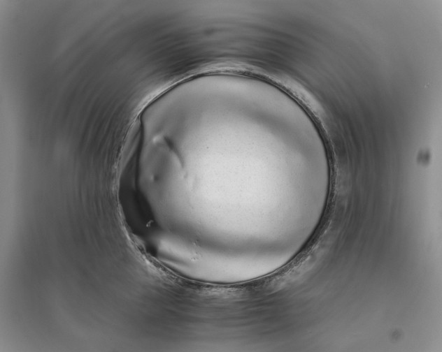 X0000094080953200711091212