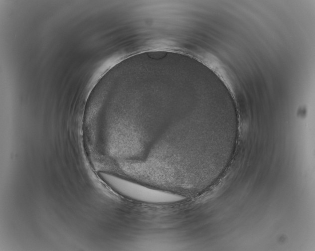 X0000094080954200711091212