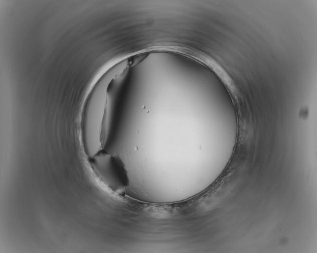 X0000094080955200711091212