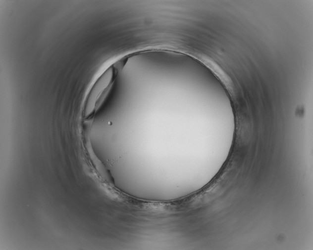 X0000094080956200711091212