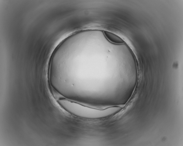 X0000094080957200711091212