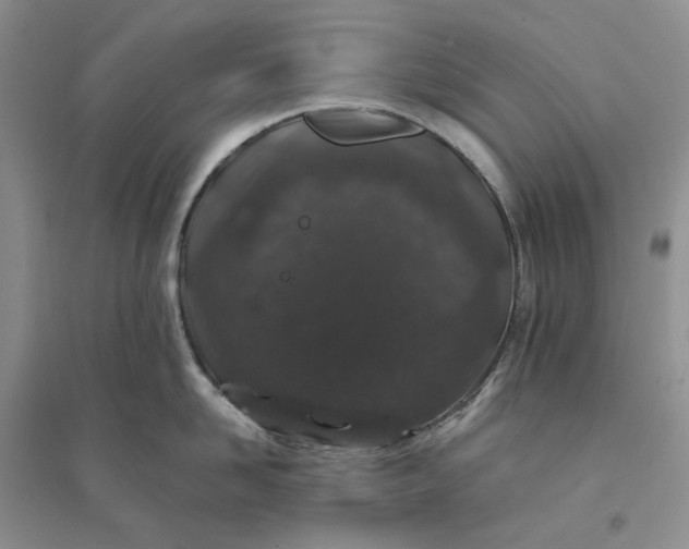 X0000094080958200711091212