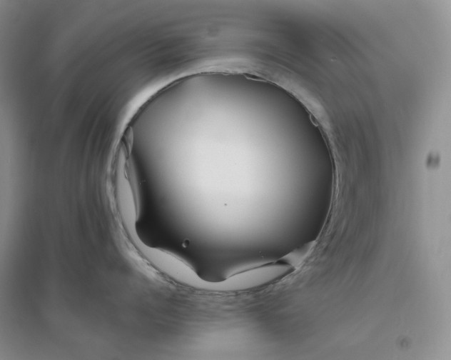 X0000094080960200711091212