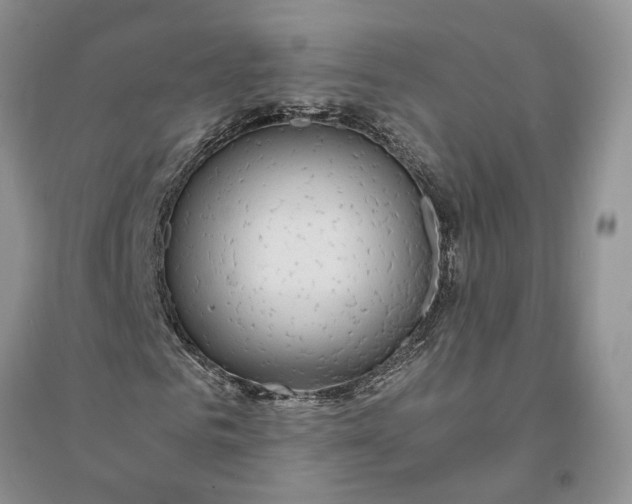 X0000094080961200711091211