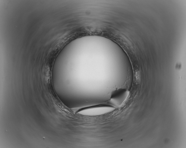 X0000094080963200711091211