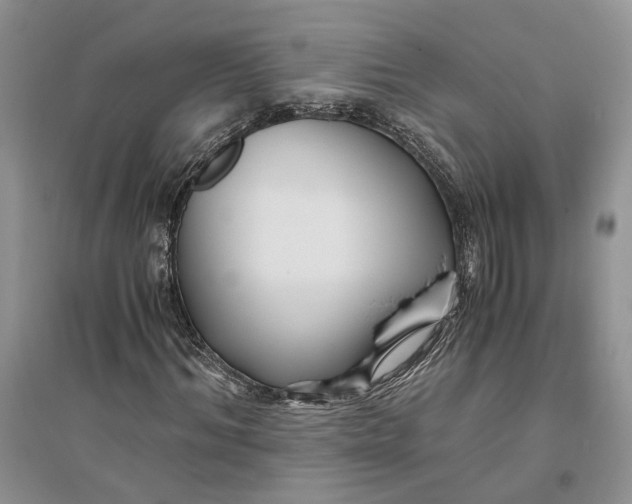 X0000094080964200711091211