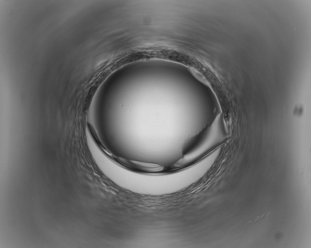 X0000094080965200711091211