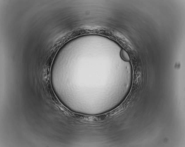X0000094080966200711091211