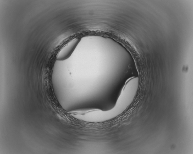 X0000094080968200711091211