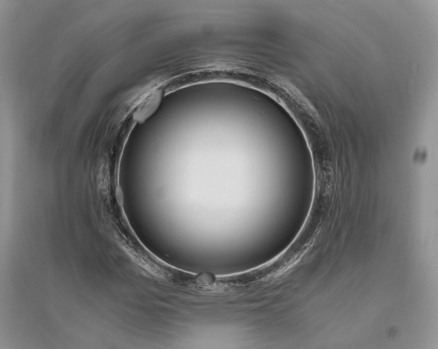 X0000094080969200711091211