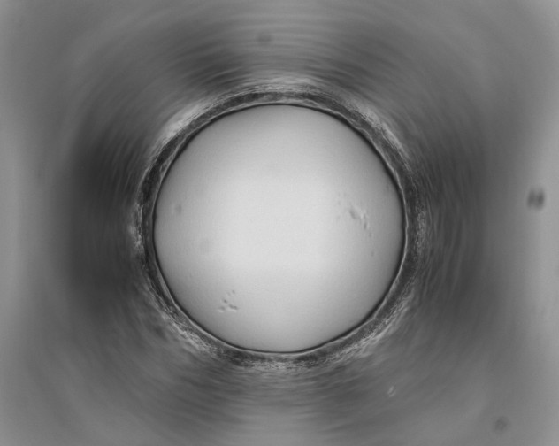 X0000094080970200711091211